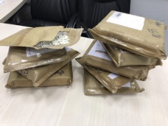 Почта России предотвратила переправку из Южной Азии в Москву 16 кг запрещённых препаратов