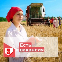 Хотите найти работу?