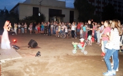 DSC02142.JPG