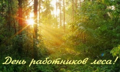 Уважаемые работники лесного отрасли, ветераны!