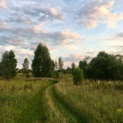 Оперативное предупреждение