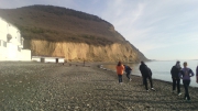IMG_20160308_160953.jpg
