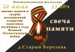 Митинг памяти и скорби в д. Старый Березняк