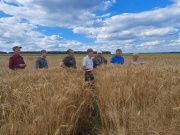 3 августа агрономы сельскохозяйственных организаций района посетили Можгинский государственный сортоучасток ФГБУ "Госсорткомиссии"