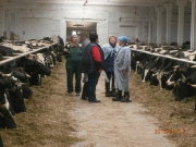 P9130114.JPG