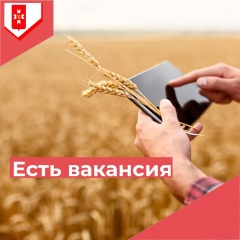 Нужна работа?