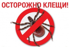 Клещи: правила безопасности.